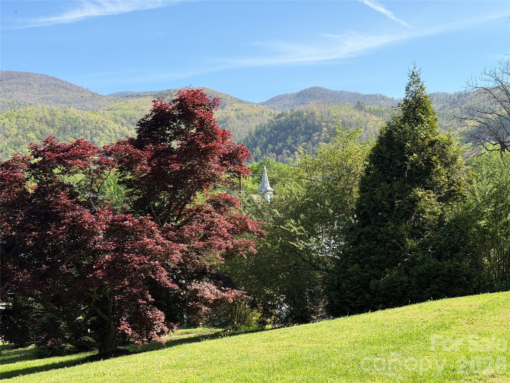 29 Walnut Street Hot Springs, NC 28743 - Photo 4 of 43