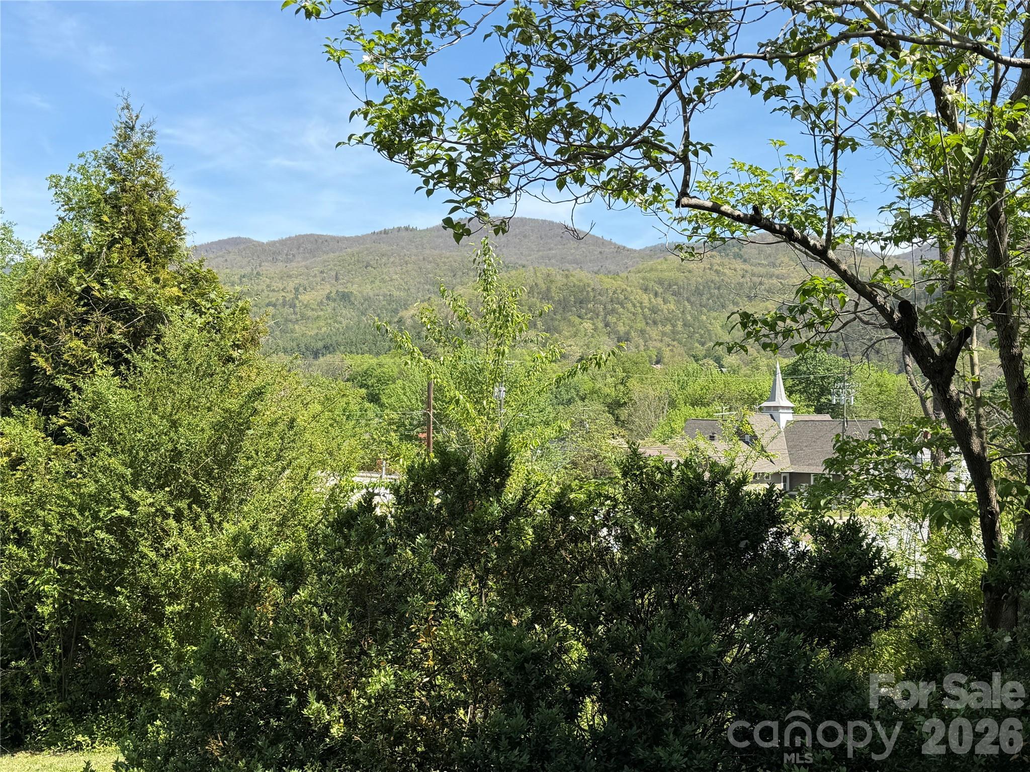 29 Walnut Street Hot Springs, NC 28743 - Photo 43 of 43