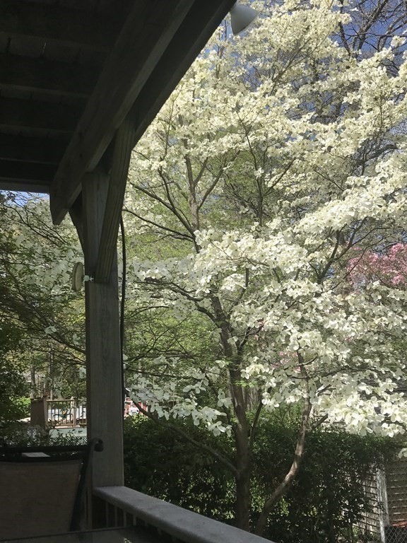 85 Pleasant Circle Canton, MA 02021 - Photo 30 of 35 a view of sky from window