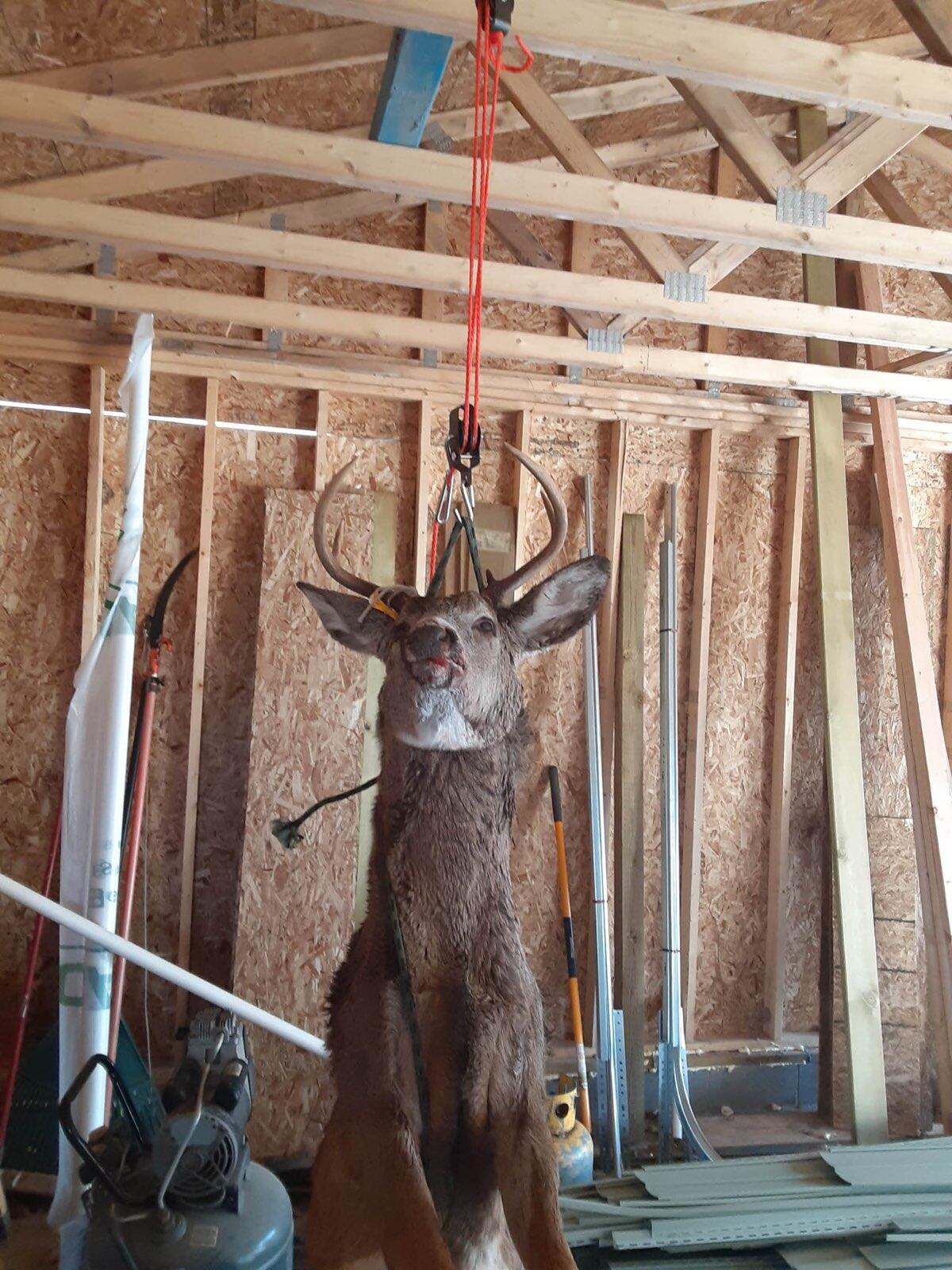 0 West Tee Lake Road Germfask, MI 49836 - Photo 24 of 29 Gallery Image 24