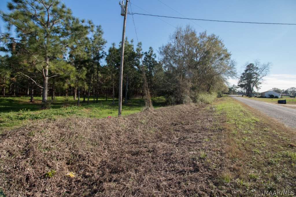 40-acres Austin Road Black, AL 36314 - Photo 6 of 28 Gallery Image 6