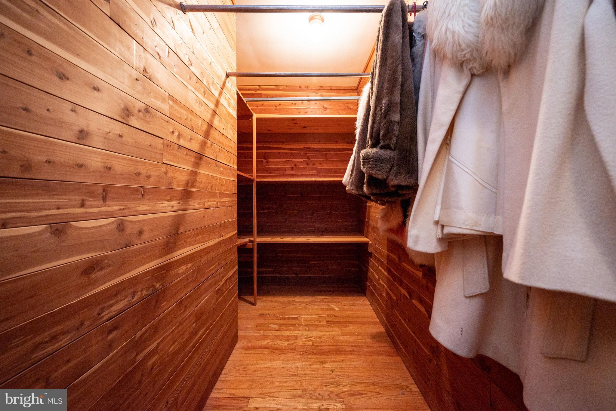 110 Mulberry Road Newark, DE 19711 - Photo 14 of 42 Large walk in cedar closet!
