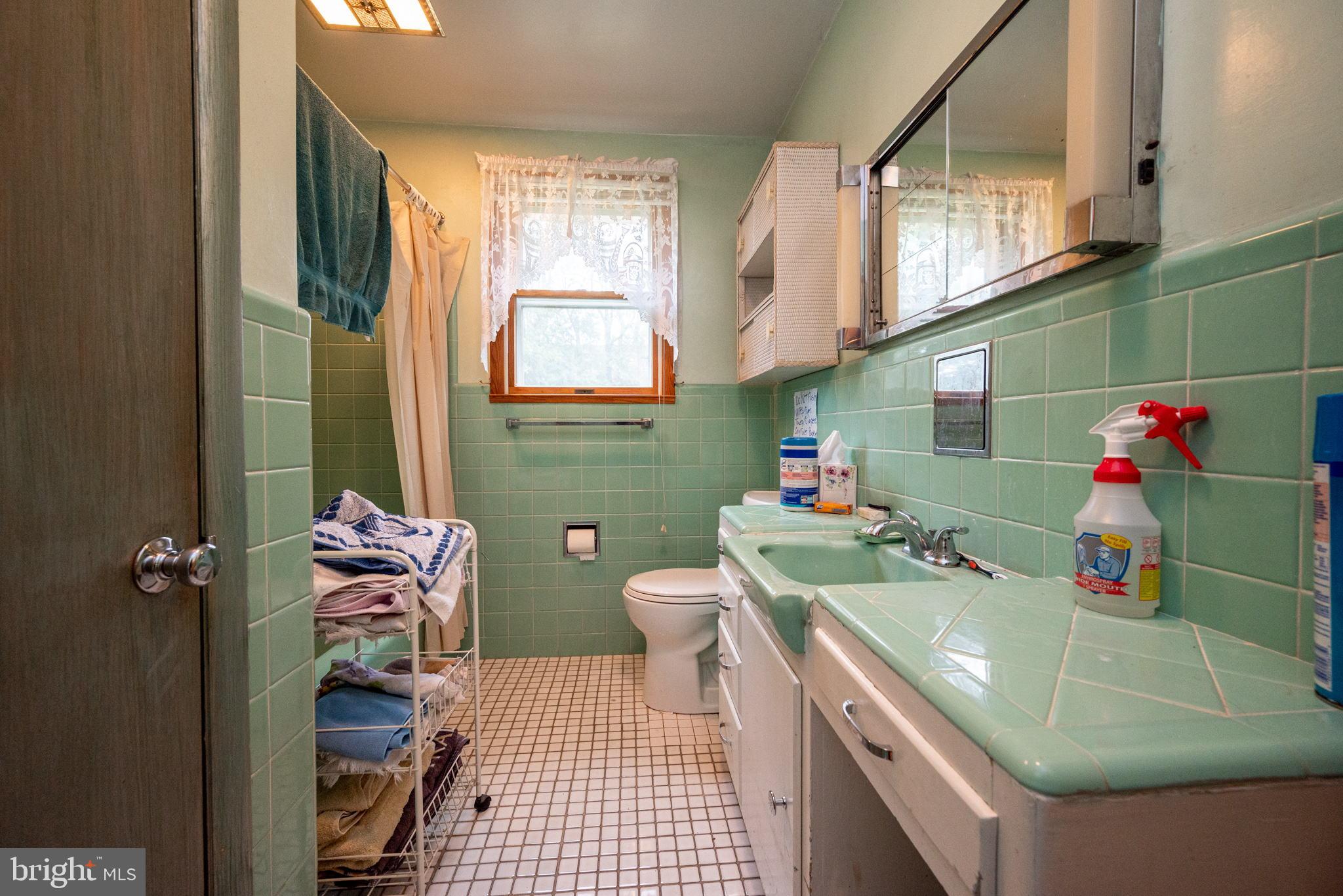 110 Mulberry Road Newark, DE 19711 - Photo 15 of 42 Full bath in hall