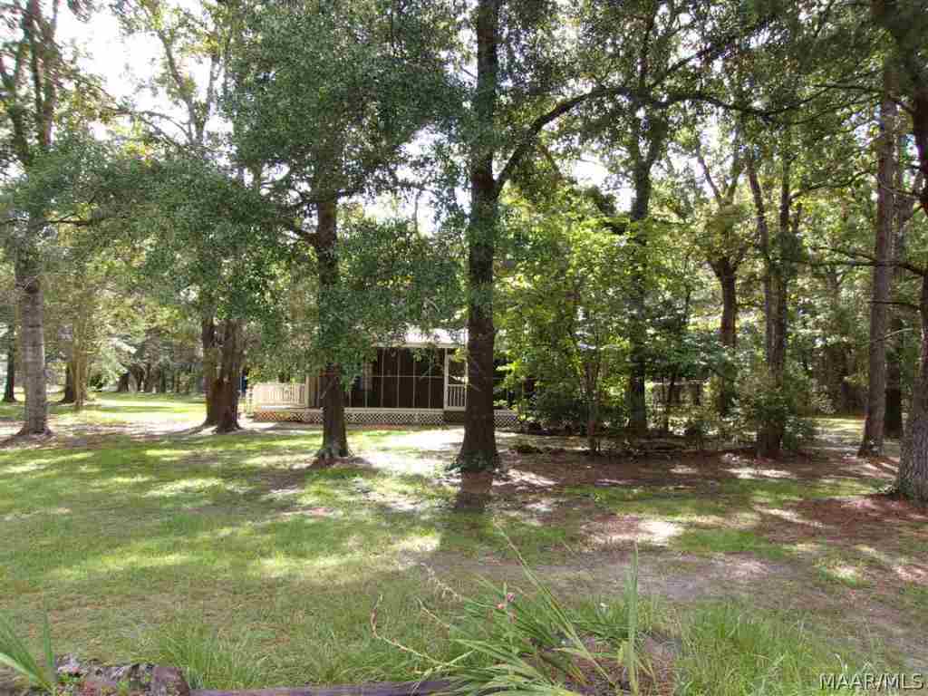 2037 Iron Bridge Road Samson, AL 36477 - Photo 25 of 36 Back of house