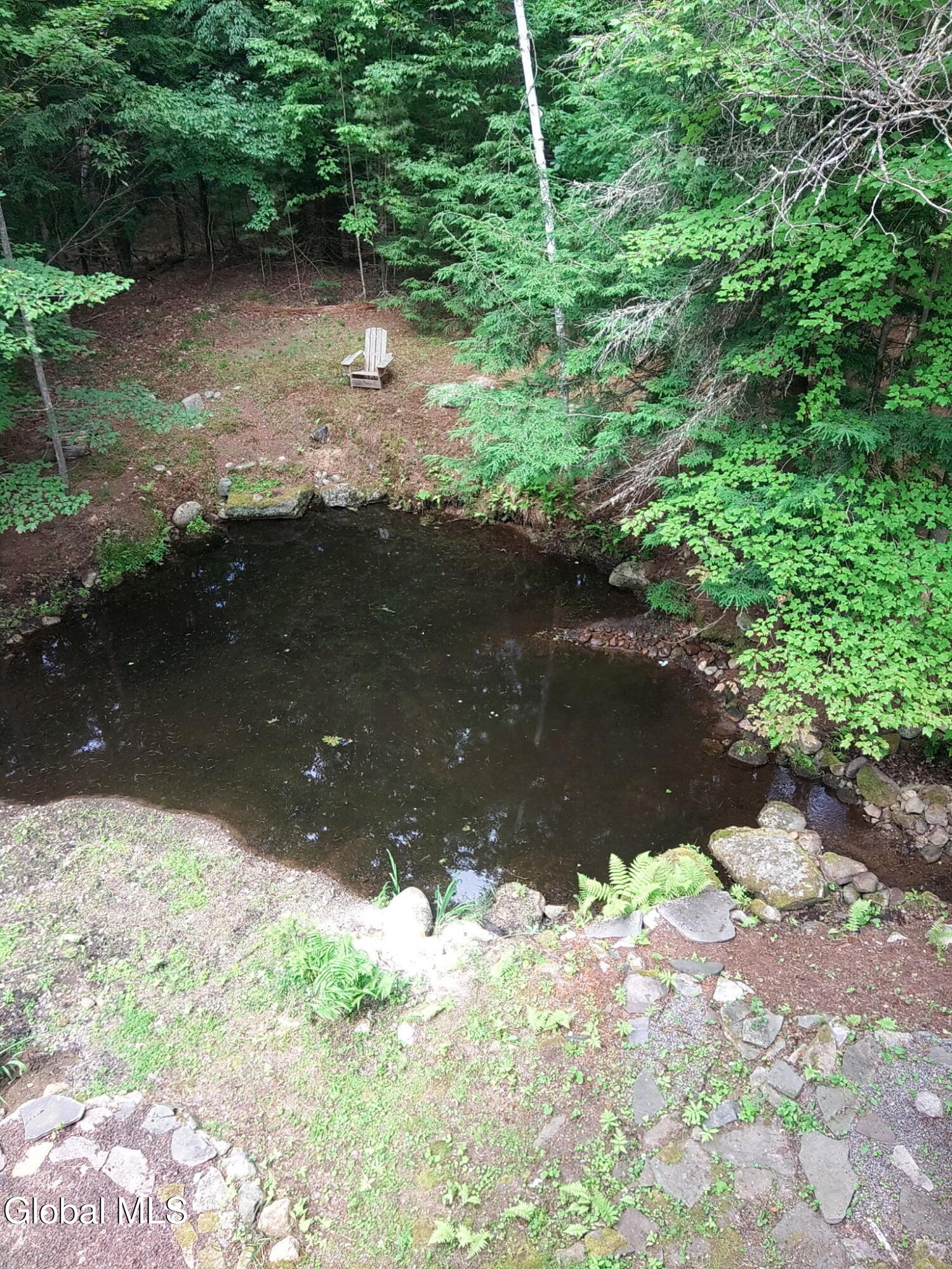 678 Dippikill Road Thurman, NY 12885 - Photo 8 of 73 IMG_20250717_092347 (1) (2)