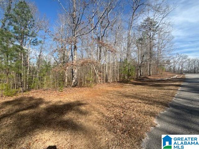 0 Laurel Way, Unit 93 Wedowee, AL 36278 - Photo 5 of 5