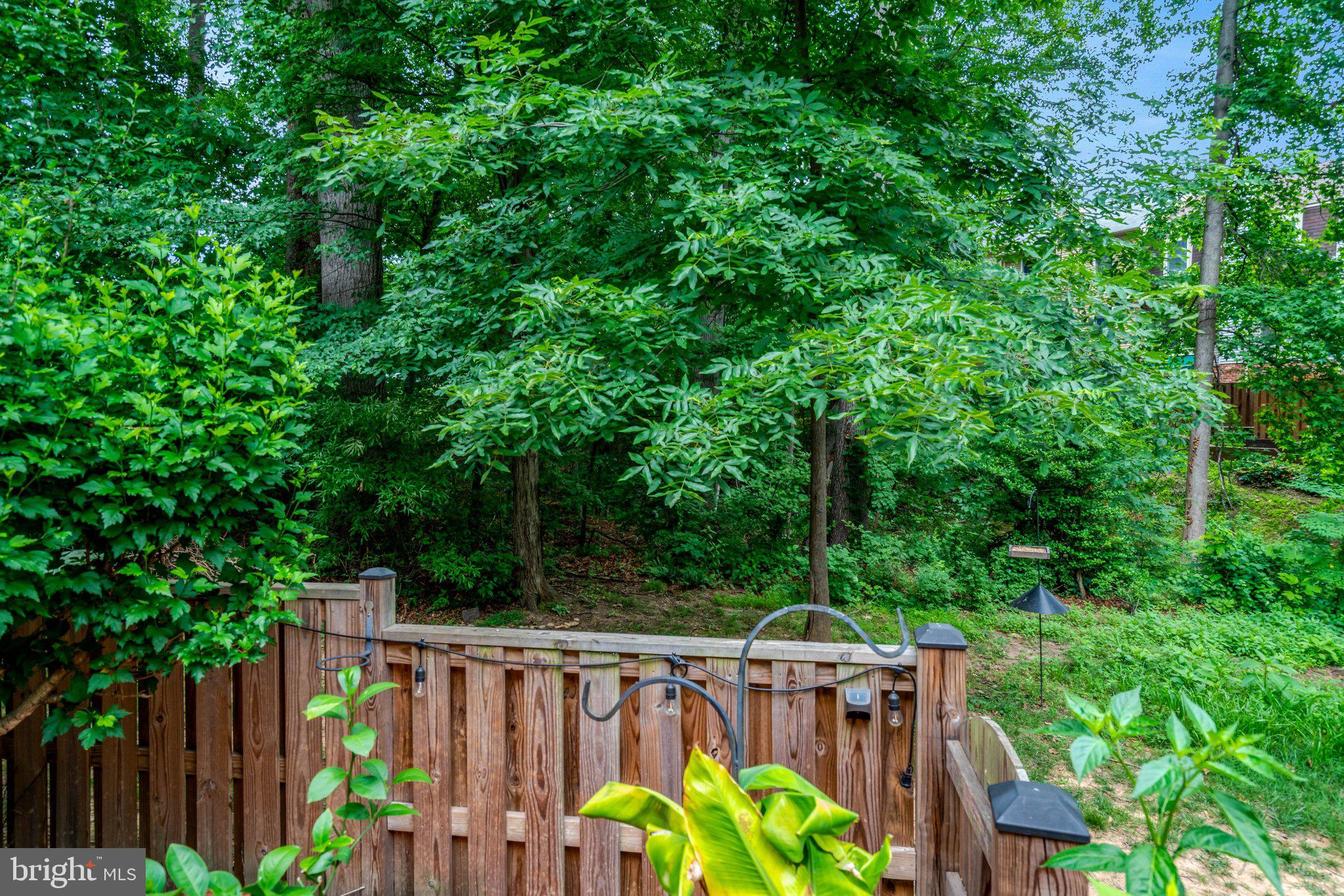 7838 Ashley Glen Road Annandale, VA 22003 - Photo 58 of 77