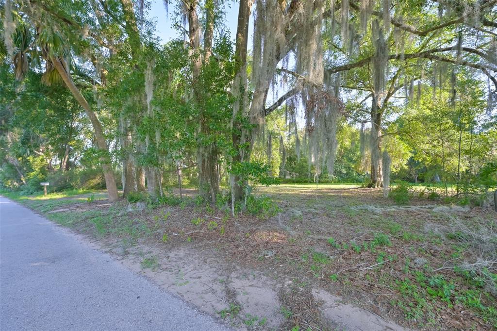 36625 Lake Pasadena Road Dade City, FL 33525 - Photo 54 of 55