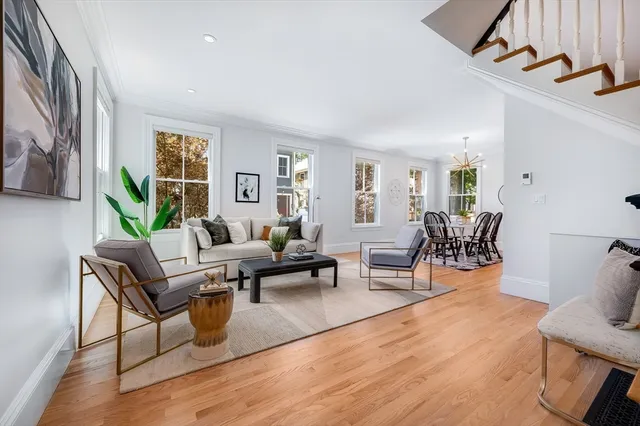 a living room with furniture a rug potted plant and a window