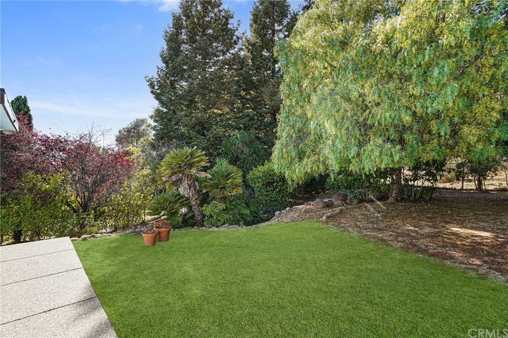 95 Hiller Drive Oakland, CA 94618 - Photo 46 of 58 Another garden view photo