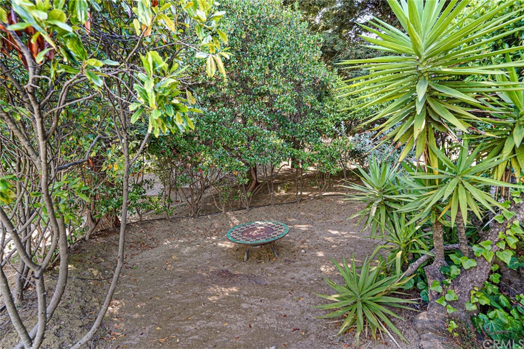 95 Hiller Drive Oakland, CA 94618 - Photo 47 of 58 a view of a plant in a yard