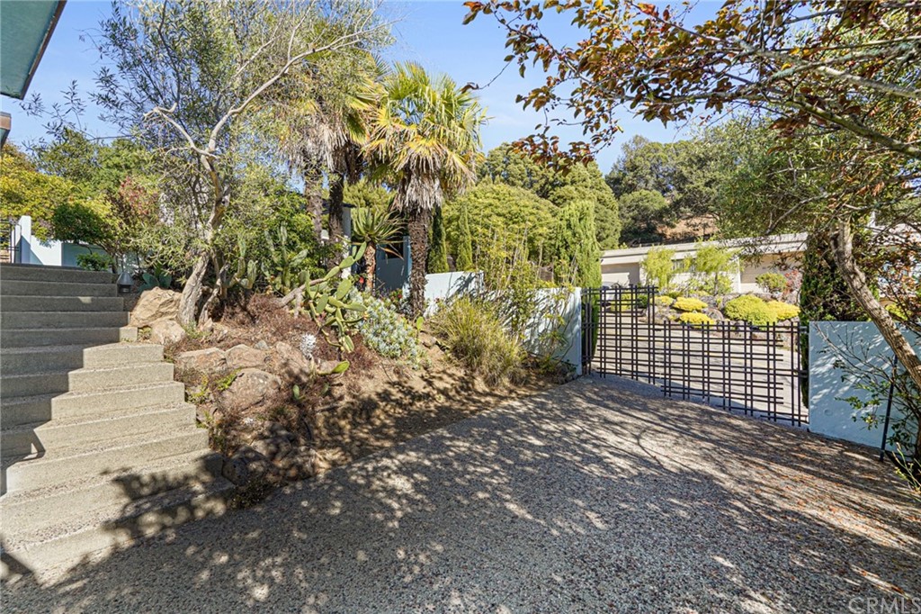 95 Hiller Drive Oakland, CA 94618 - Photo 48 of 58 View of lush gardens from secondary driveway