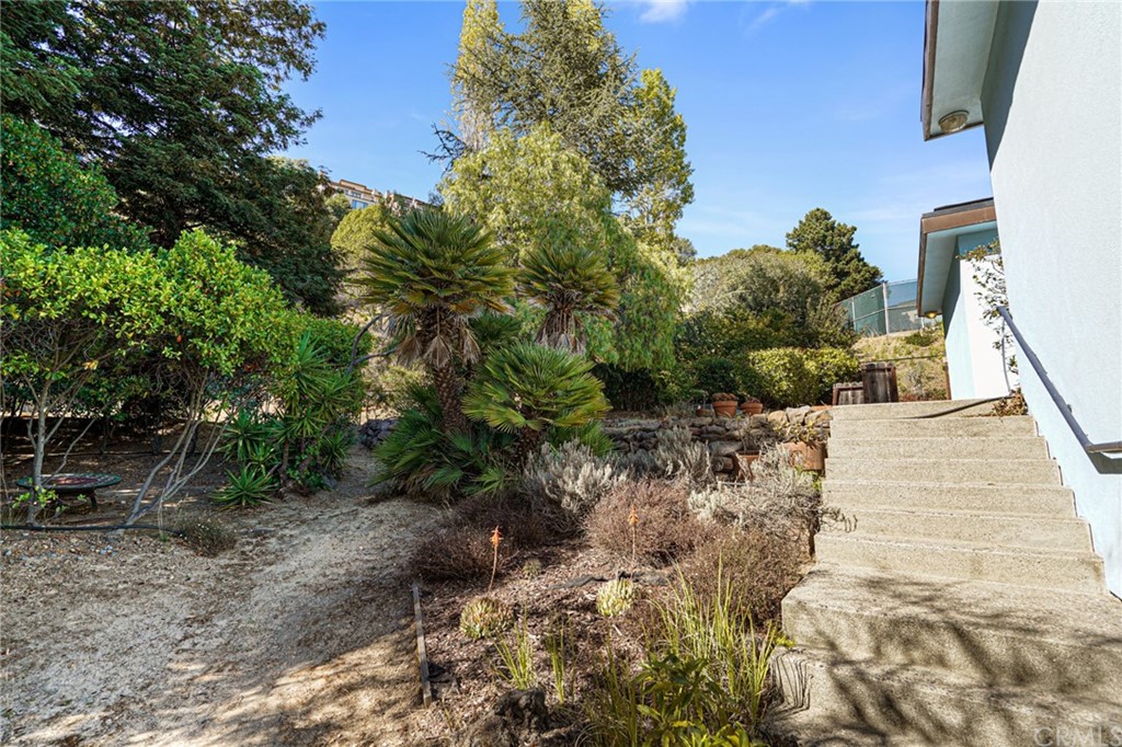 95 Hiller Drive Oakland, CA 94618 - Photo 50 of 58 Another view of the gardens from the secondary driveway