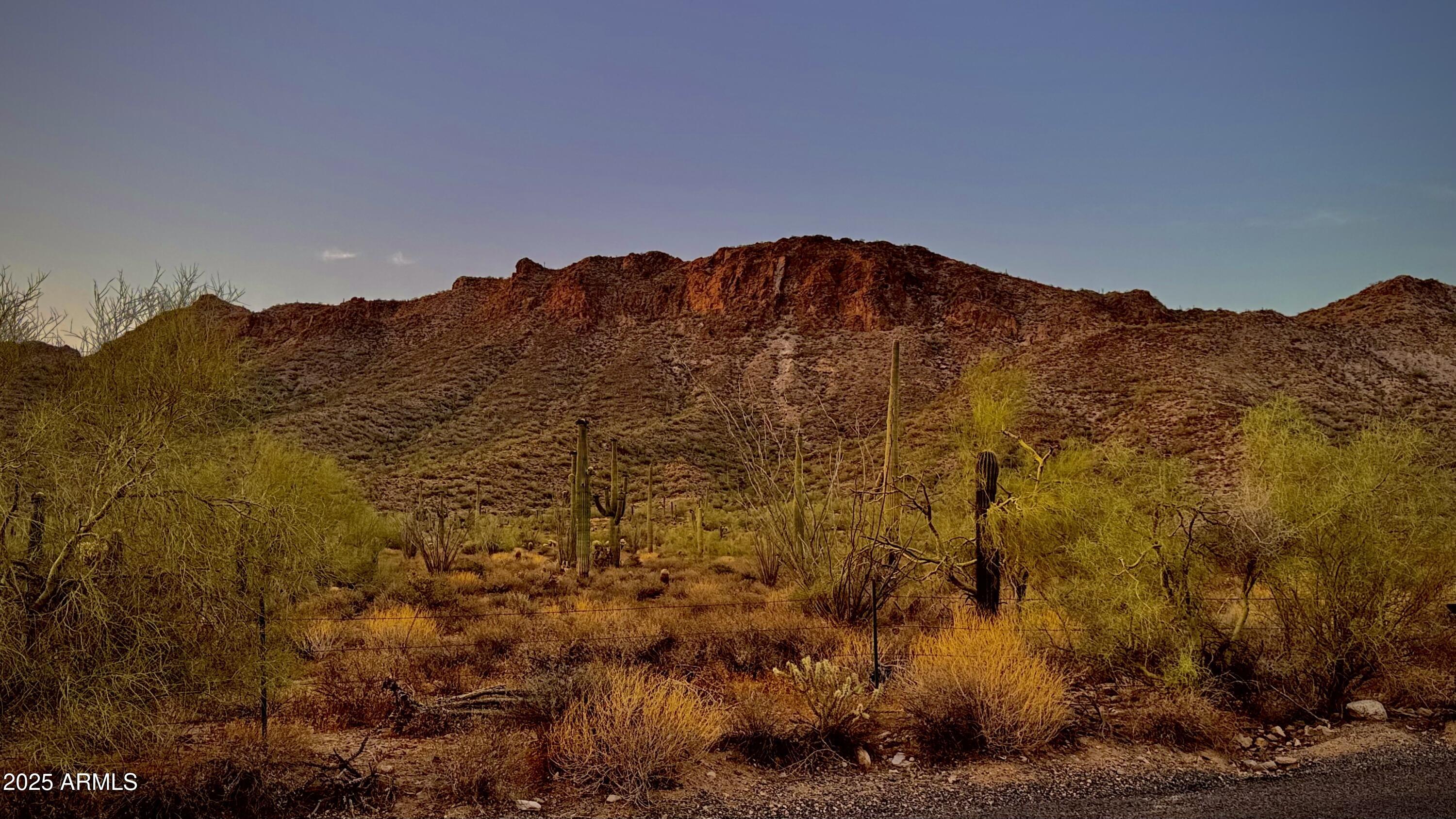 0 North Delaware Drive Apache Junction, AZ 85120 - Photo 1 of 18 a view of mountain