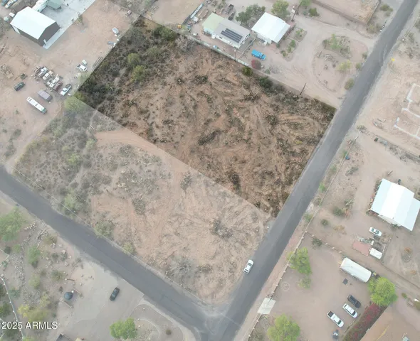a view of a dry yard with trees
