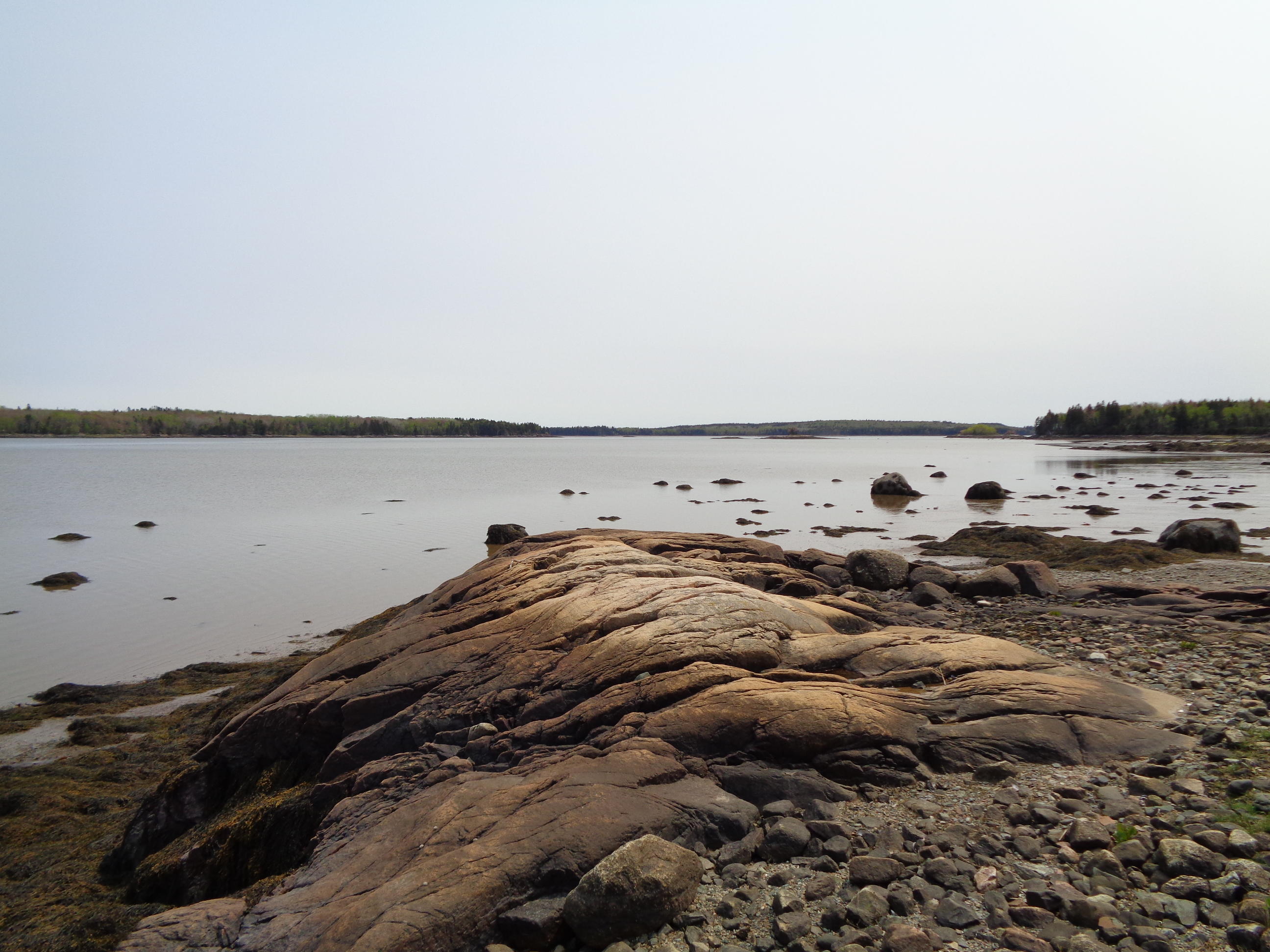 Lot 14-5 Pineo Point Road Harrington, ME 04643 - Photo 1 of 34 DSC03110