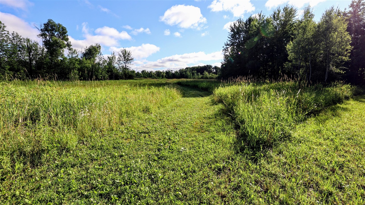 29 29 Mile Road Battle Creek, MI 49014 - Photo 48 of 48