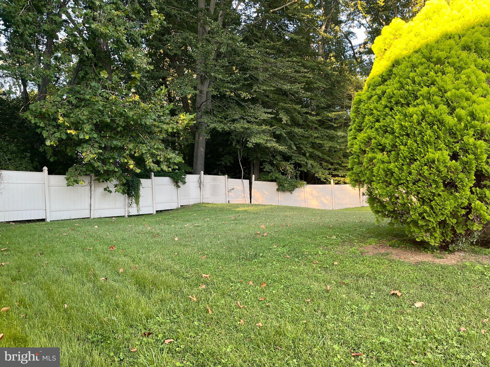 1025 Chews Landing Road Laurel Springs, NJ 08021 - Photo 4 of 28 Back Yard 2