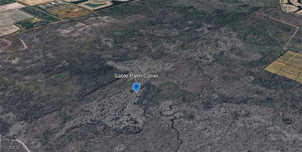 Sabal Palm Road Naples, FL 34114 - Photo 4 of 8 a close up of a sink