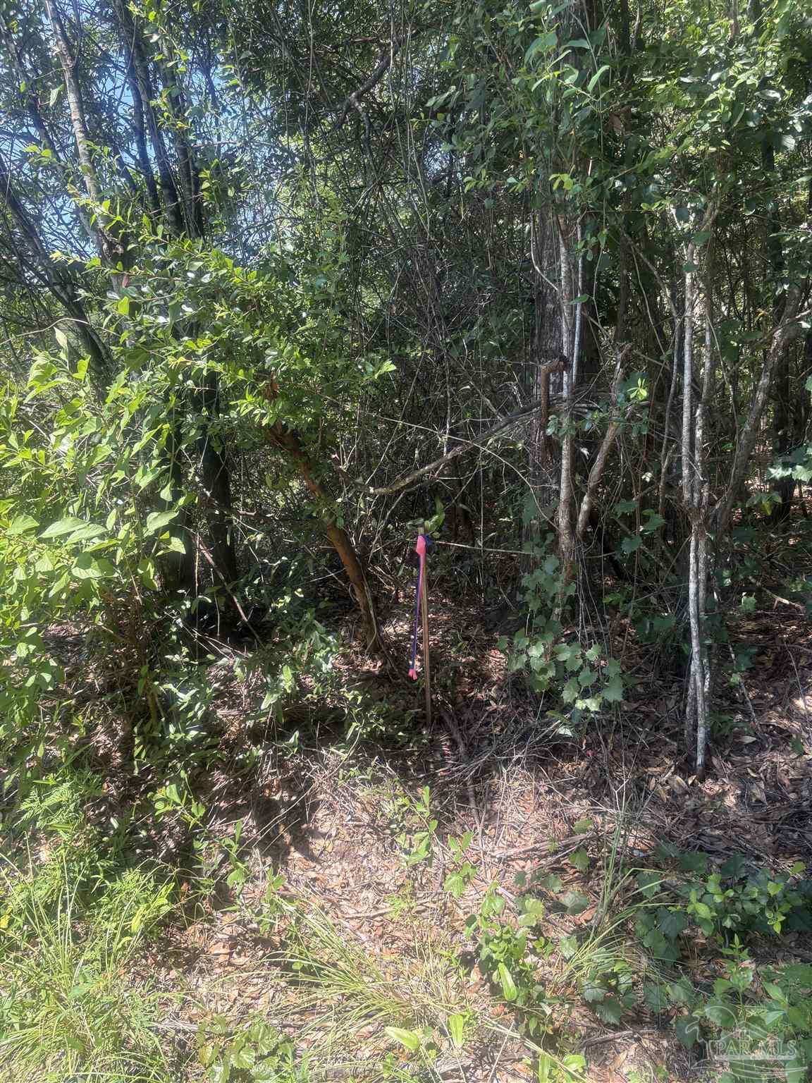 3 Bryant Bridge Road Holt, FL 32564 - Photo 5 of 5
