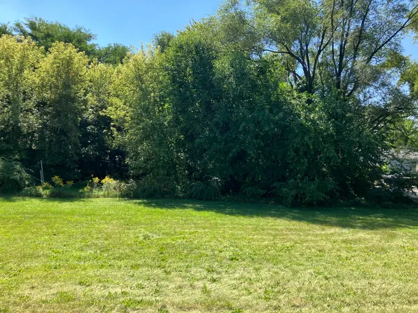 a view of a yard with a trees