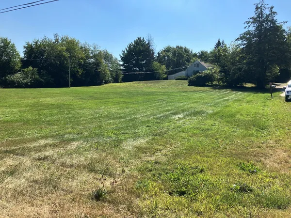a view of a grassy field with trees in the background