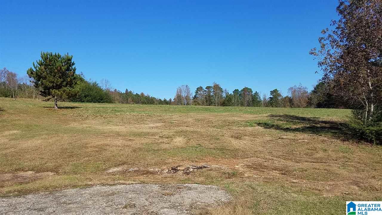298 Bowerman Road Blountsville, AL 35031 - Photo 16 of 30
