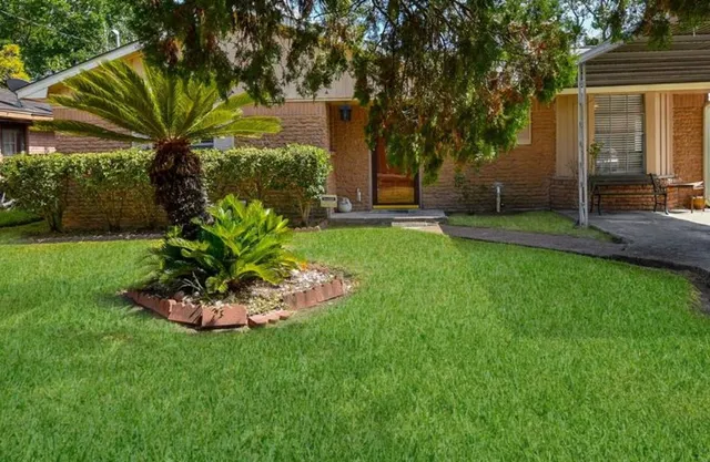 a view of a backyard with plants and a large tree