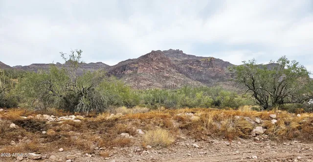 a view of a dry yard with mountains in the background