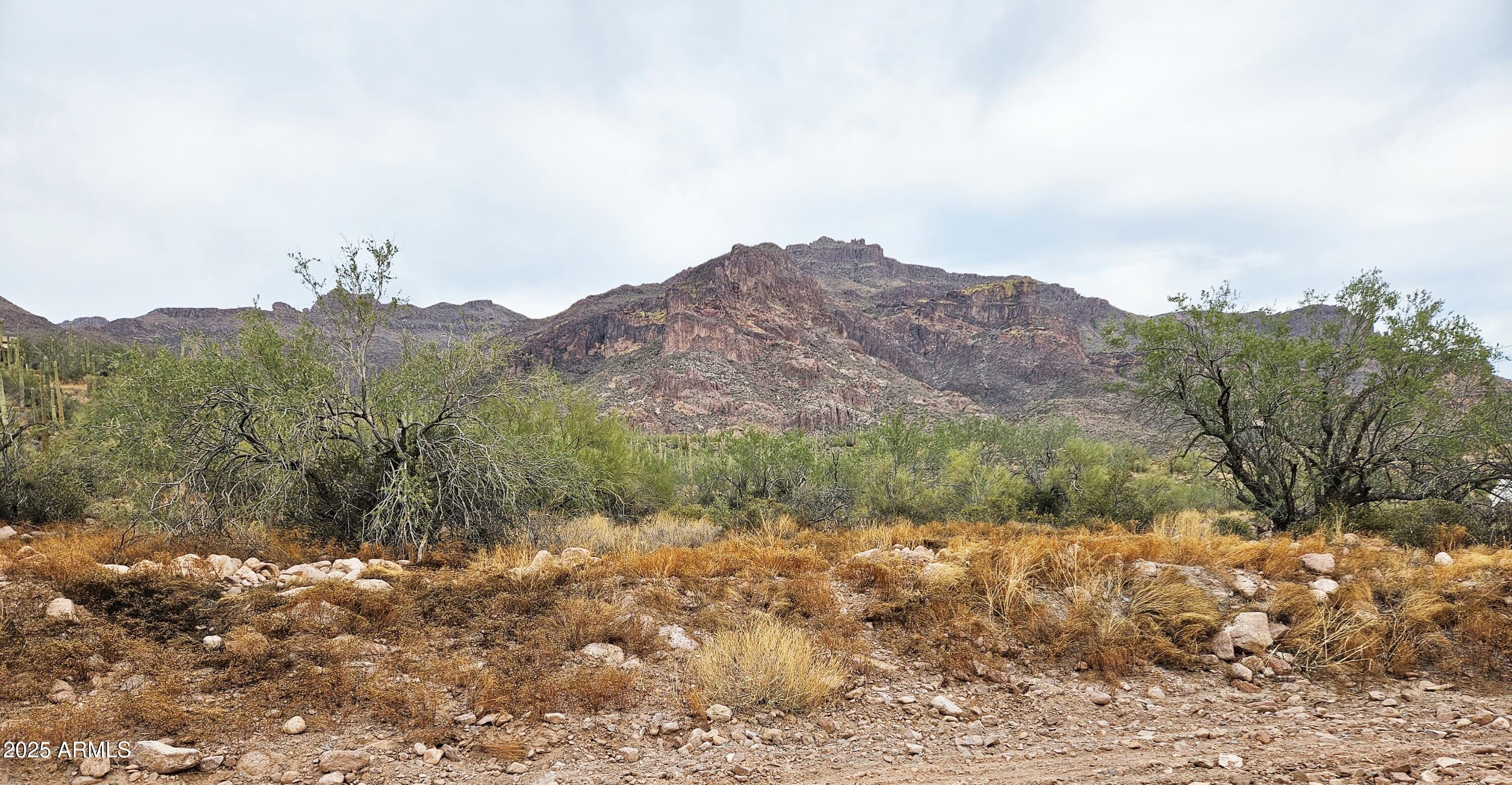 2669 South Southfork Ranch Road Gold Canyon, AZ 85118 - Photo 4 of 6 a view of a dry yard with mountains in the background