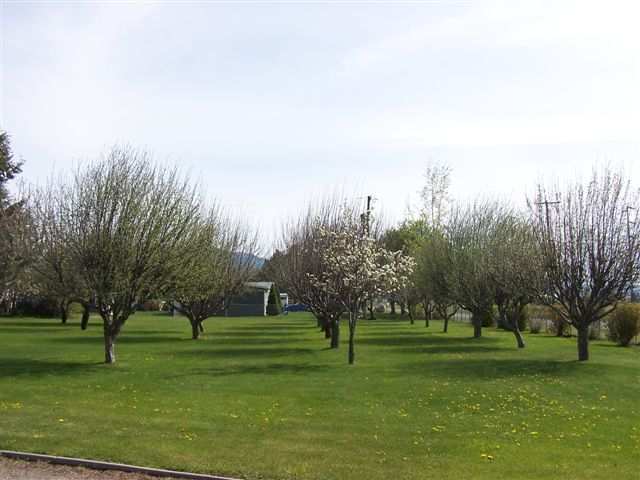 3824 North Arden Road Otis Orchards, WA 99027 - Photo 7 of 9