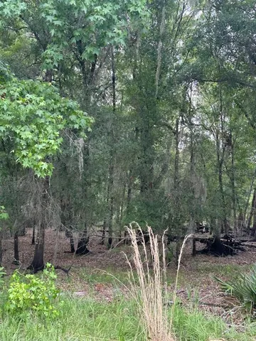 $249,000 | 0 Palomino Lake Drive, Dade City, FL 33523