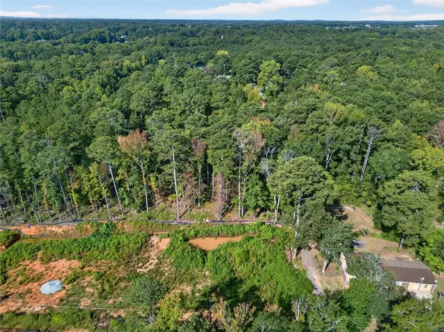 a view of a lush green forest with lots of trees