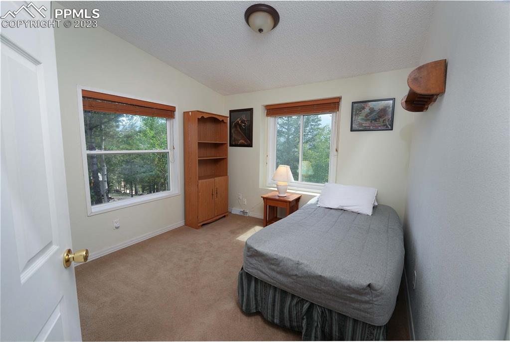 187 Blue Spruce Road Divide, CO 80814 - Photo 14 of 31 a view of a bedroom with furniture and a window