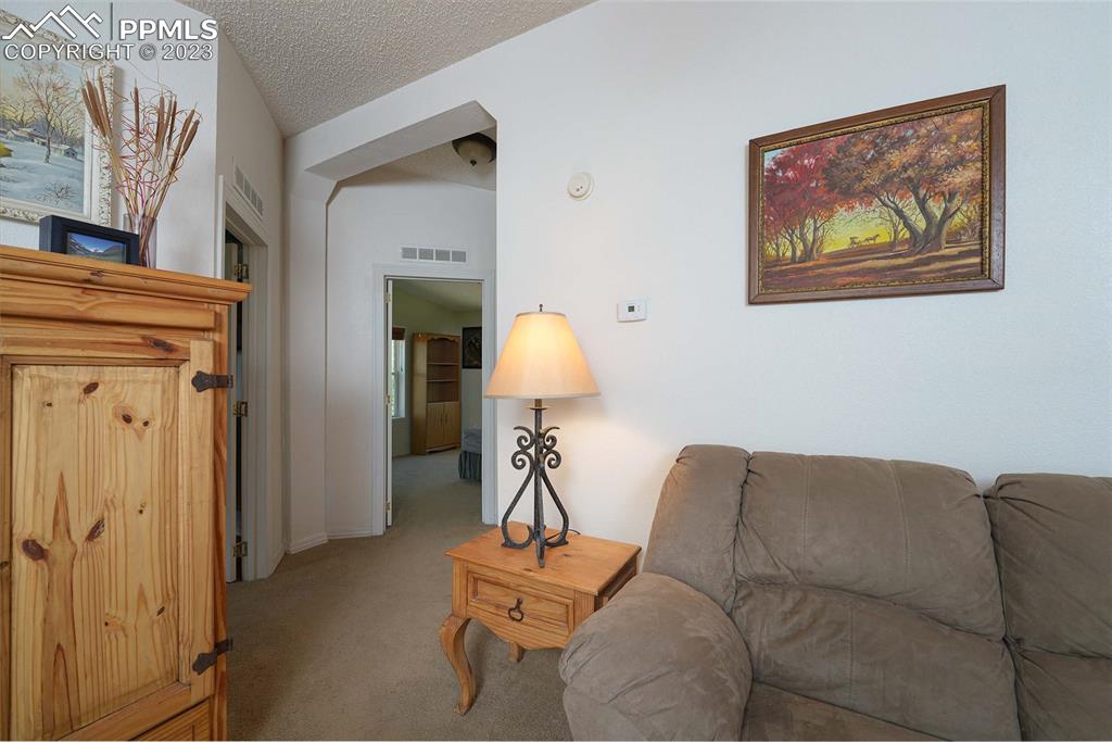 187 Blue Spruce Road Divide, CO 80814 - Photo 16 of 31 a living room with furniture and a lamp