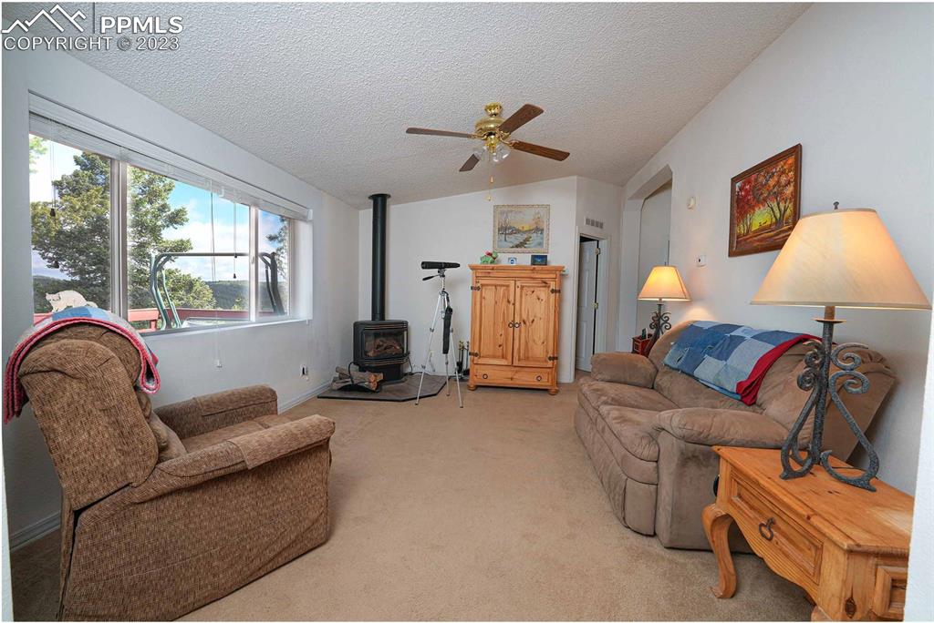 187 Blue Spruce Road Divide, CO 80814 - Photo 17 of 31 a living room with furniture a flat screen tv and a window