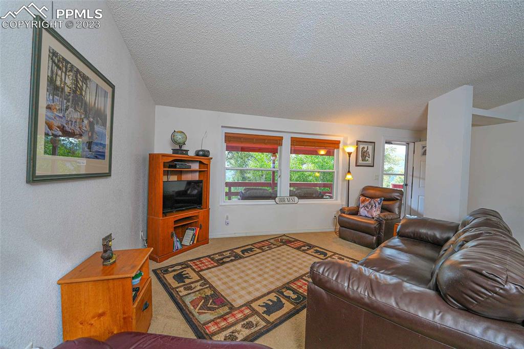 187 Blue Spruce Road Divide, CO 80814 - Photo 18 of 31 a living room with furniture and a flat screen tv