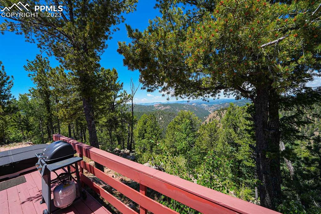 187 Blue Spruce Road Divide, CO 80814 - Photo 24 of 31 a view of a yard from a balcony