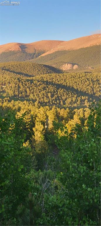187 Blue Spruce Road Divide, CO 80814 - Photo 26 of 31 a view of city and mountain