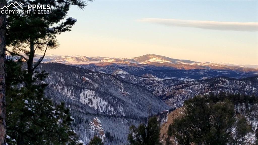 187 Blue Spruce Road Divide, CO 80814 - Photo 27 of 31