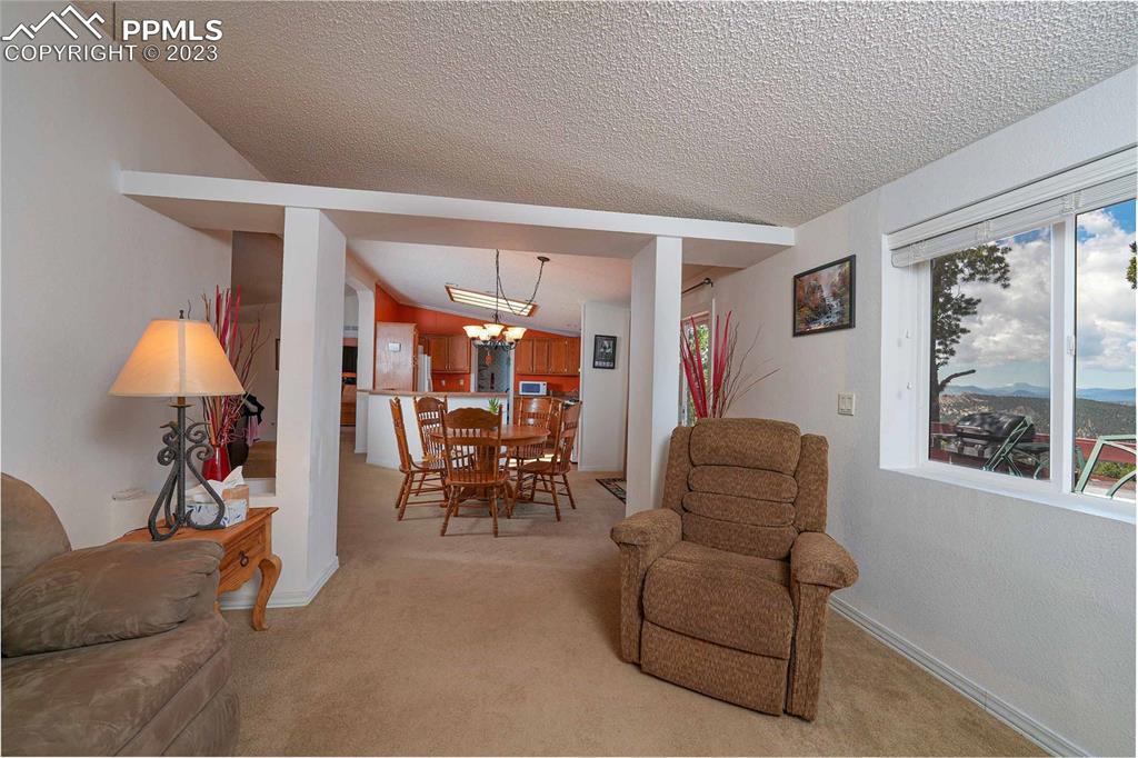 187 Blue Spruce Road Divide, CO 80814 - Photo 7 of 31 a living room with furniture and a window
