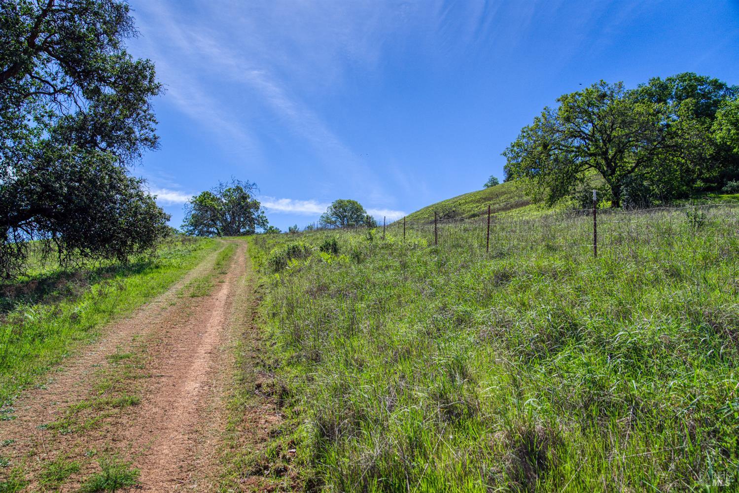 12300 Skaggs Springs Road Geyserville, CA 95441 - Photo 48 of 68 Landing strip on other side of fence.