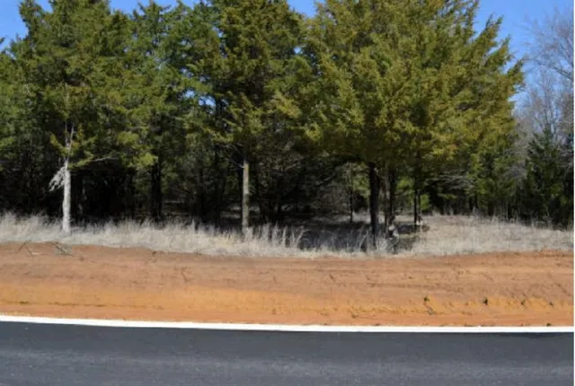a view of swimming pool with a yard