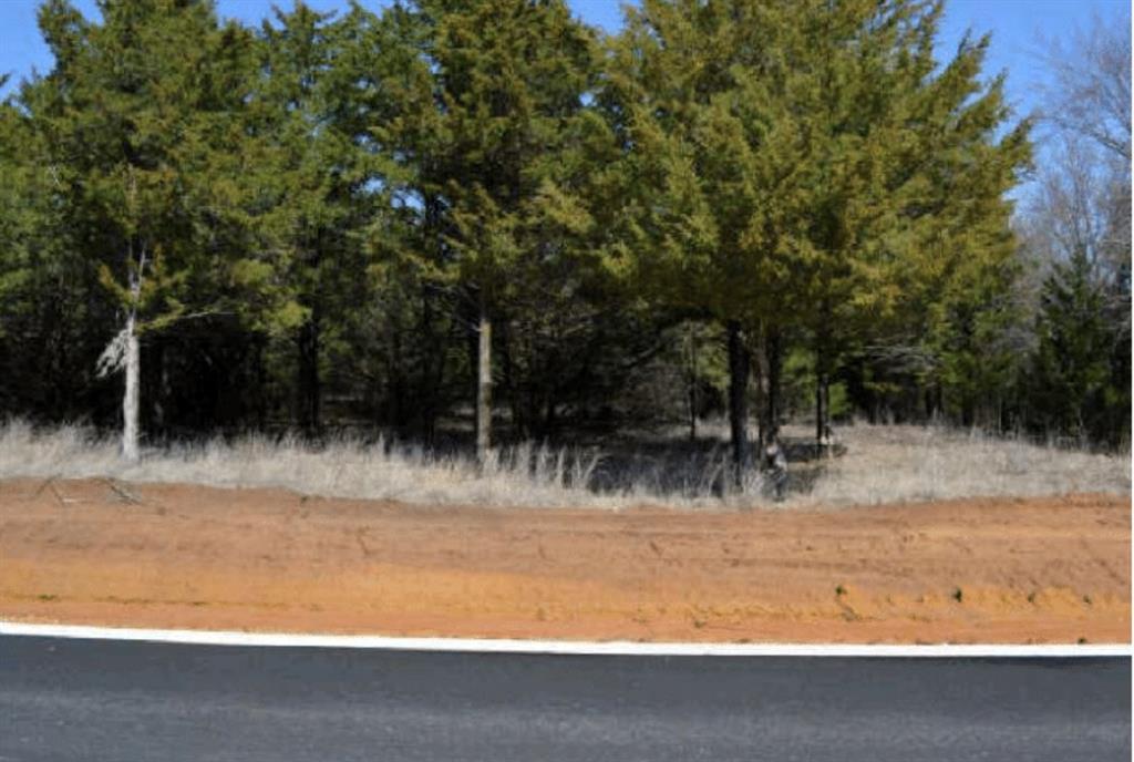 60 Timber Bank Drive Gordonville, TX 76245 - Photo 1 of 24 a view of swimming pool with a yard