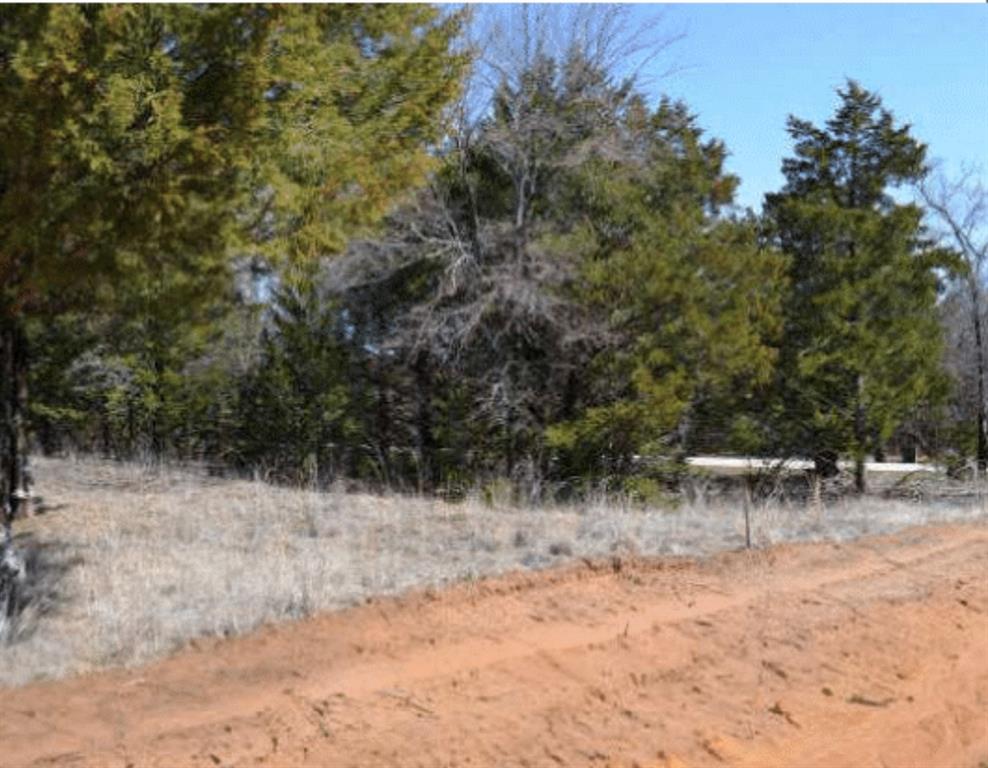 60 Timber Bank Drive Gordonville, TX 76245 - Photo 2 of 24 a view of a yard with a tree