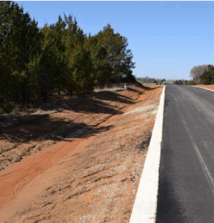 60 Timber Bank Drive Gordonville, TX 76245 - Photo 3 of 24 a view of a yard with trees