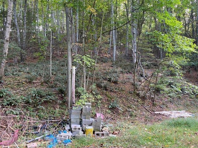 Tbd Pine Run Road Draper, VA 24324 - Photo 7 of 19 Gallery Image 7