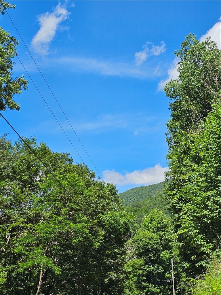 Silverleaf Road Zionville, NC 28698 - Photo 23 of 25