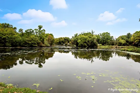 a view of a lake with a city