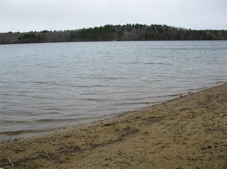 1114 Crowells Bog Road Brewster, MA 02631 - Photo 30 of 30 Additional Photo